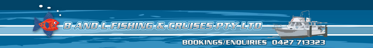 b & l fishing cruises and charters
